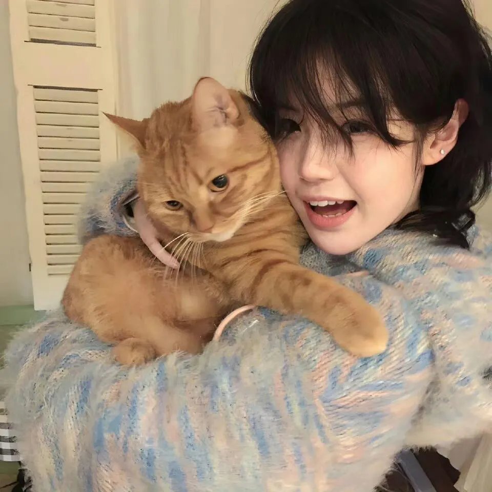 病娇大佬又凶又宠